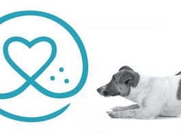 The Benefits of Pet Insurance